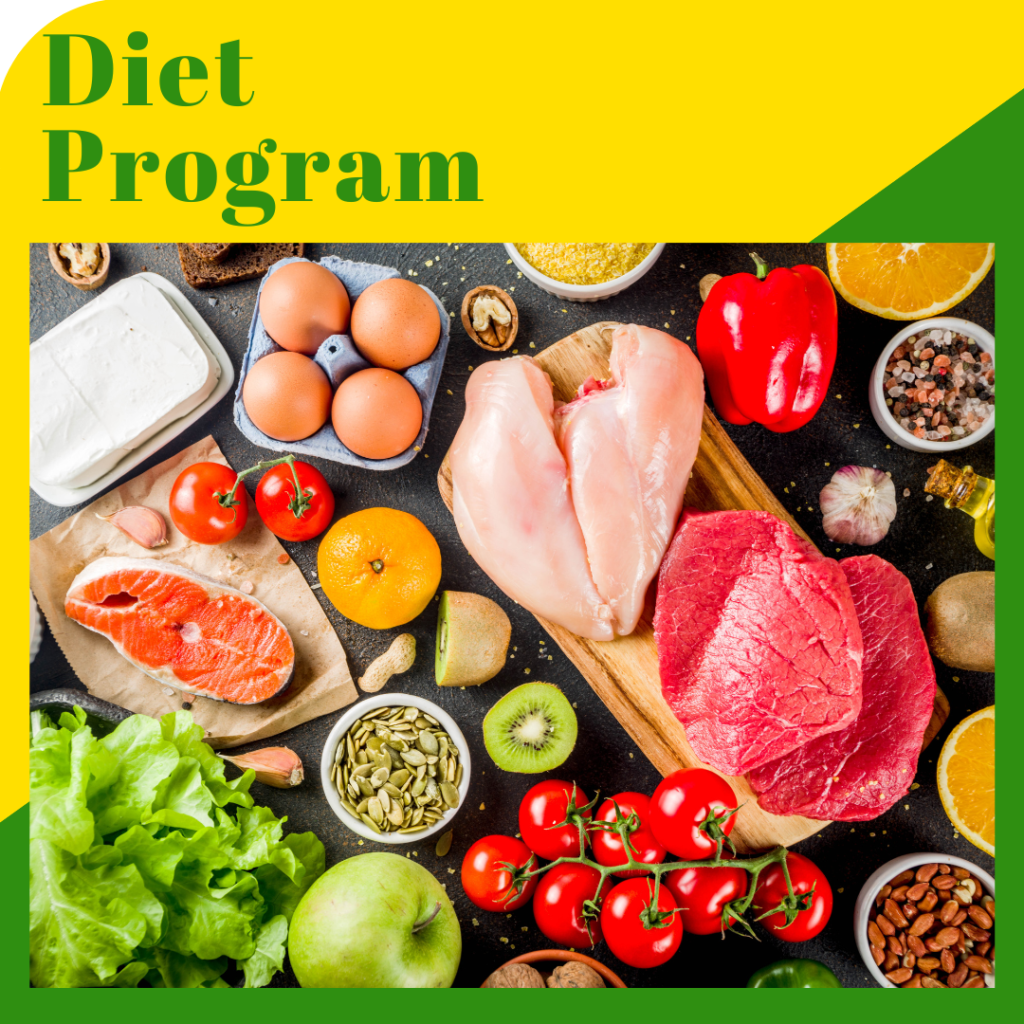 Diet Program