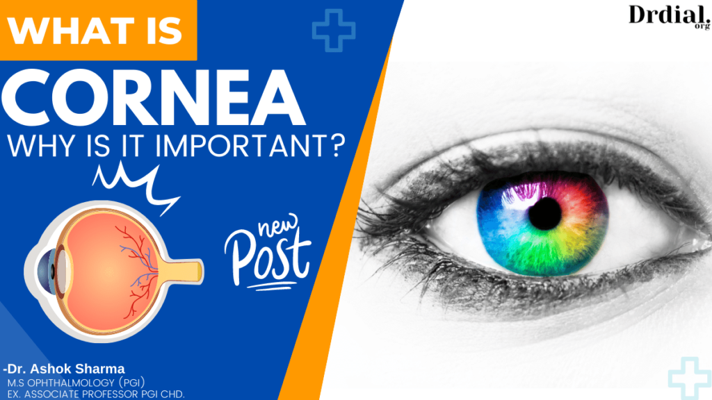 WHAT IS CORNEA IN YOUR EYE WHY IS IT IMPORTANT